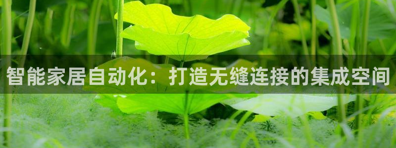 ug环球正网买分