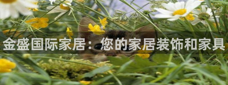 环球ug官网