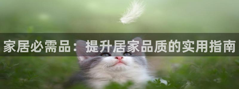 UG环球会员官方