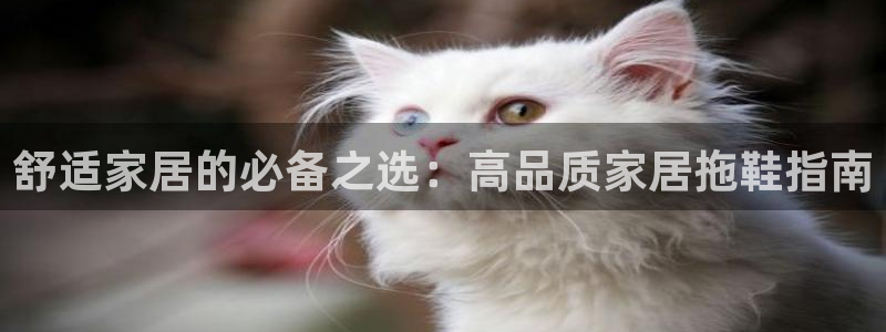ug环球360