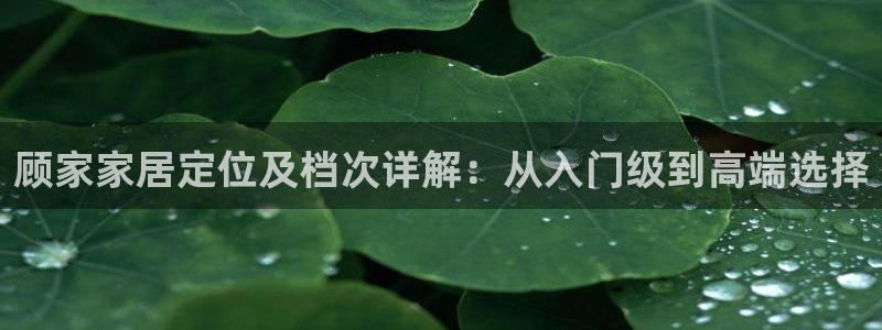 ug环球正网开户