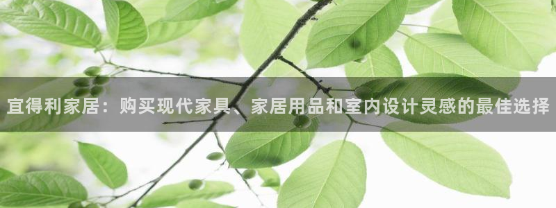 ug环球密码重置是多少位数