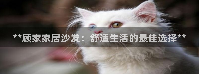 ug环球国际官网