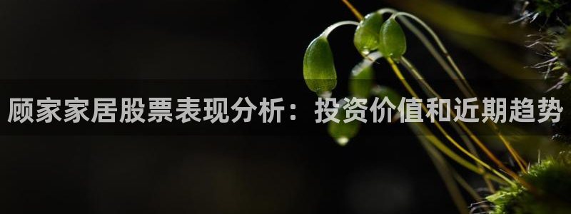 ug环球360代理