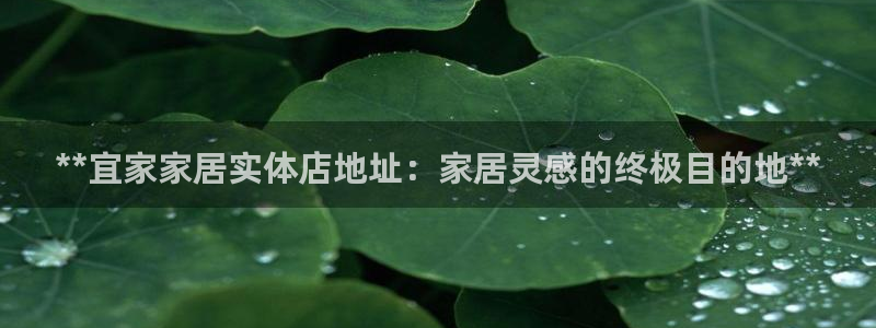 ug环球买代理