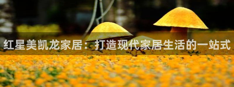 ug环球代理开户