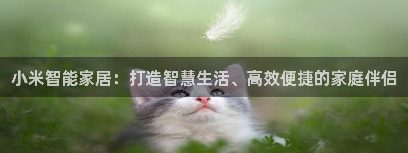ug环球网站