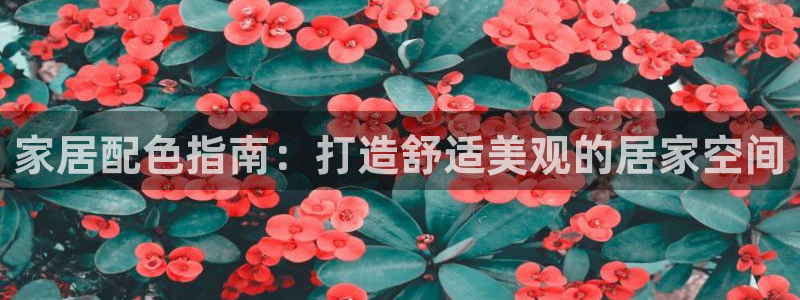 ug环球360代理