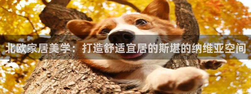 ug环球正网开户