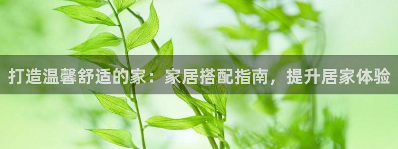 ug环球视讯真假