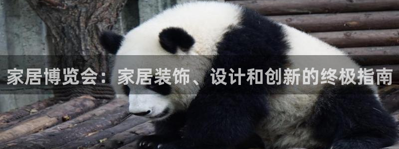ug环球官网入口