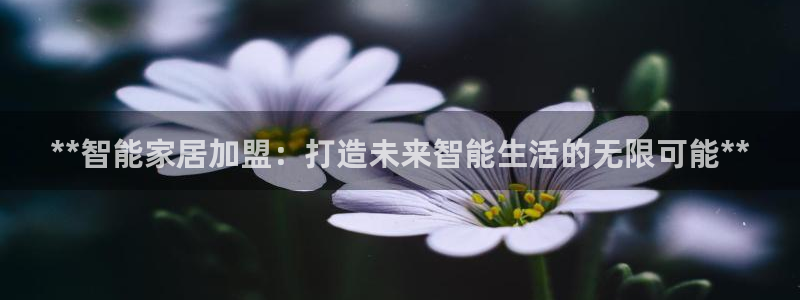 ug环球官网会员
