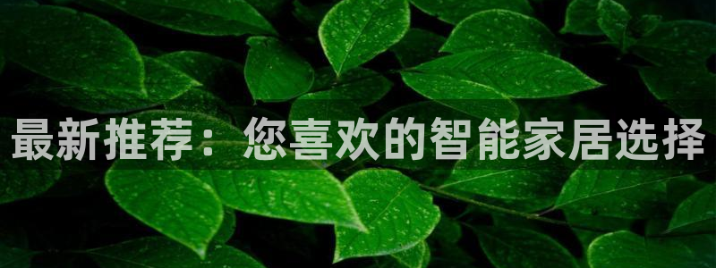 ug环球找唯xkk 908