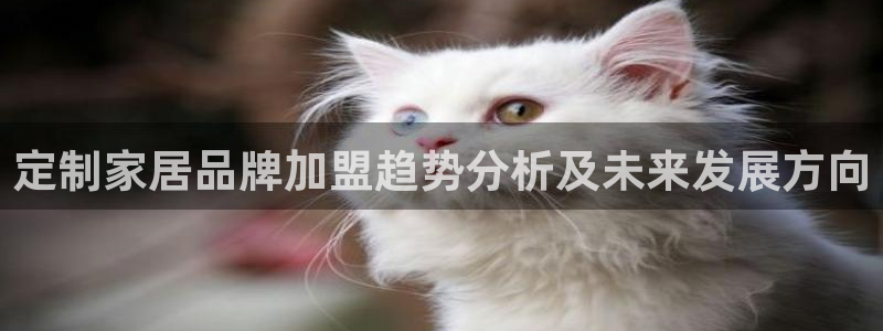 ug环球国际买分