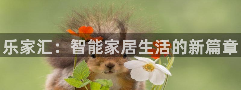 环球ug官网