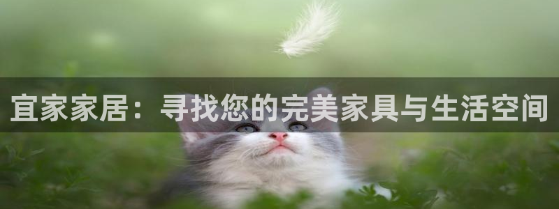 ug环球密码重置是多少位数啊