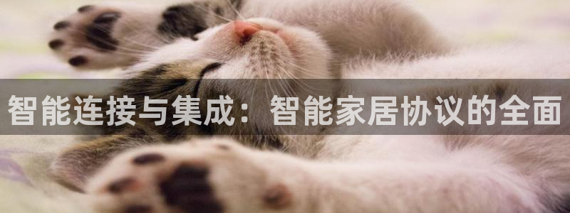 ug环球正网一比一