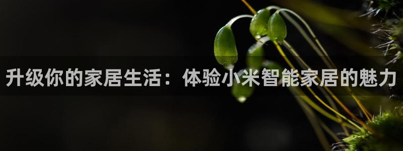 ug环球密码重置是多少位数啊