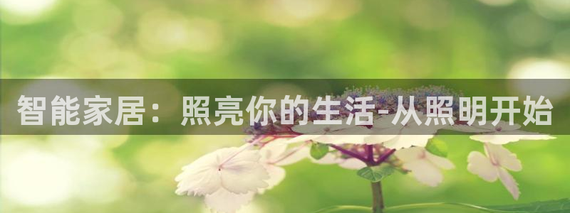 ug环球官网代理