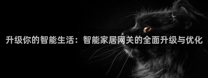 ug环球假网一比一