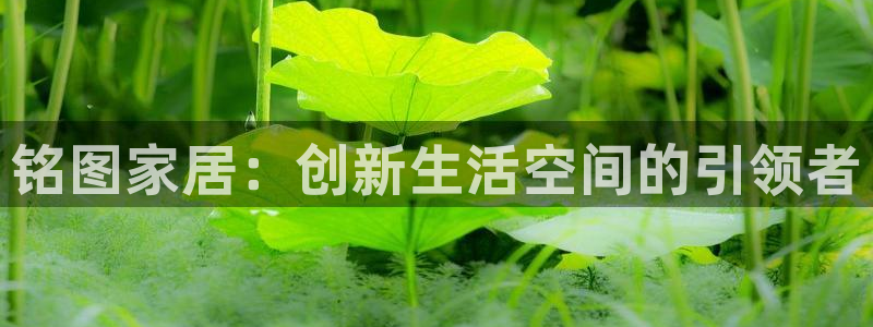 ug环球会员登录