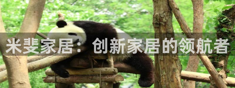 ug环球正网买分