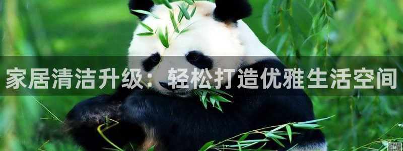 ug环球代理加盟