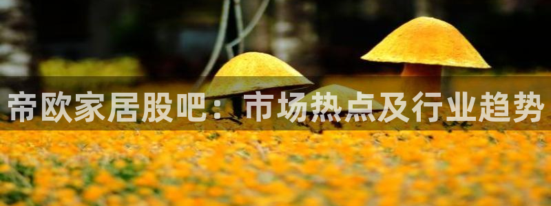 ug环球真假：帝欧家居股吧：市场热点及行