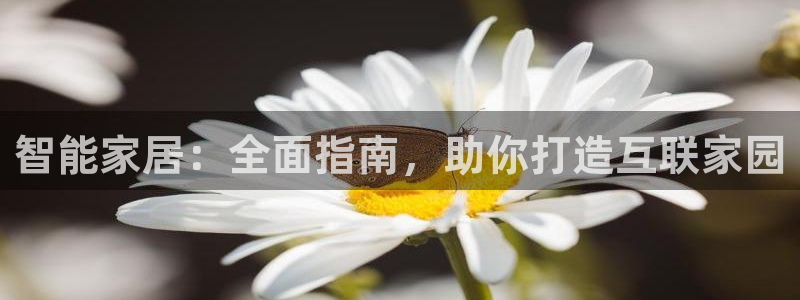ug环球会员开户