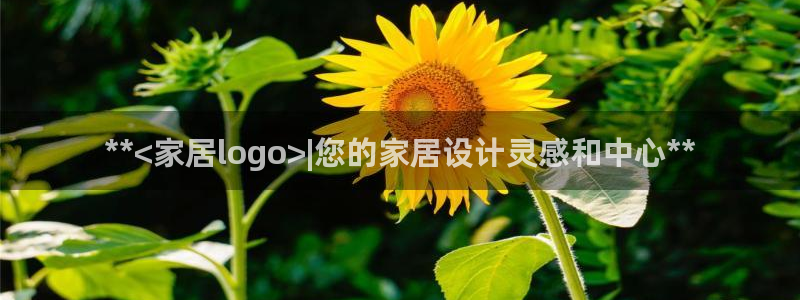 ug环球在线登录