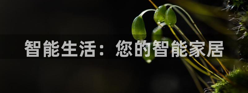 ug环球视讯下载