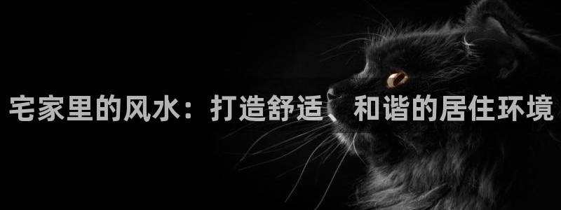 ug环球国际买分