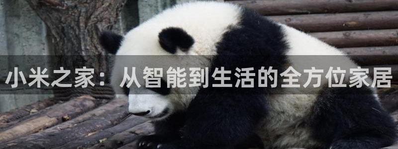 ug环球会员登录