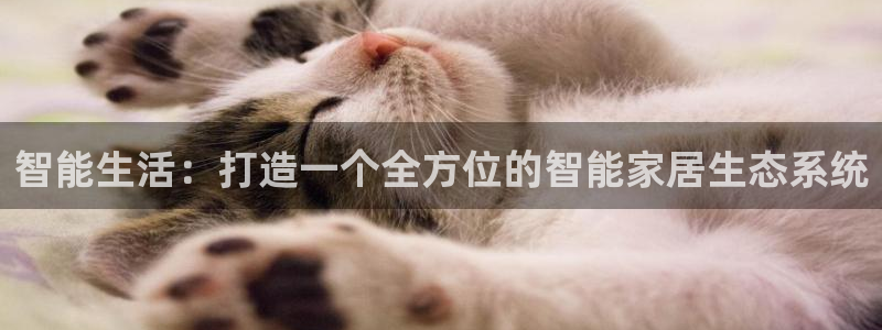 ug环球官网会员登录