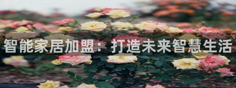 ug环球官网在线