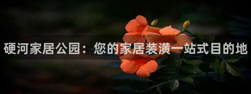 ug环球地址在哪里