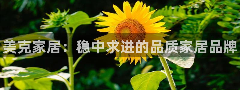 ug环球去唯xkk908