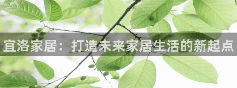 ug环球官网注册